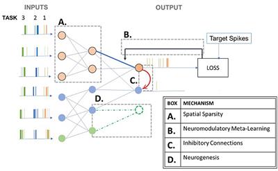 A survey and perspective on neuromorphic continual learning systems